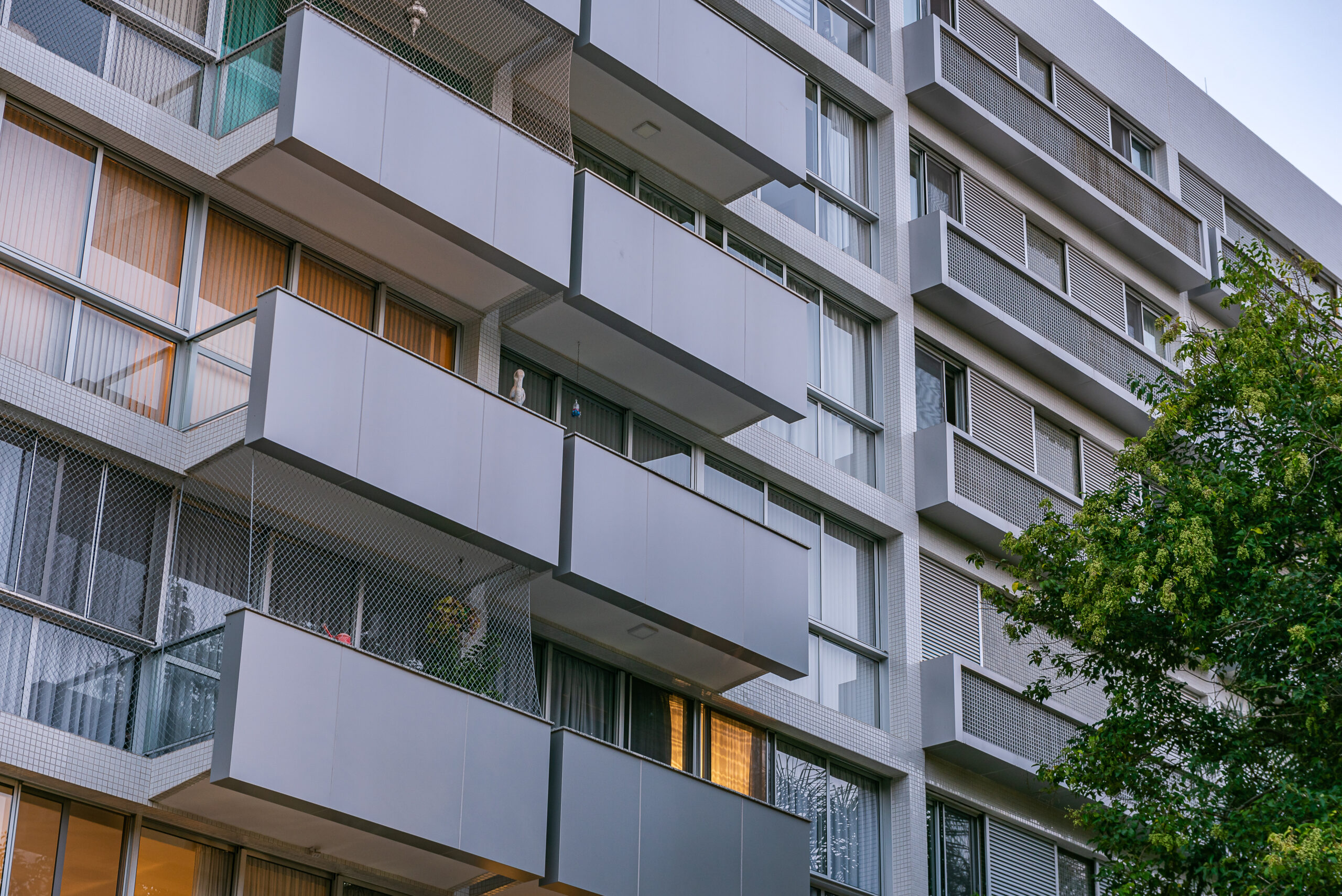 SQS 203 I - Elon Pfeiffer